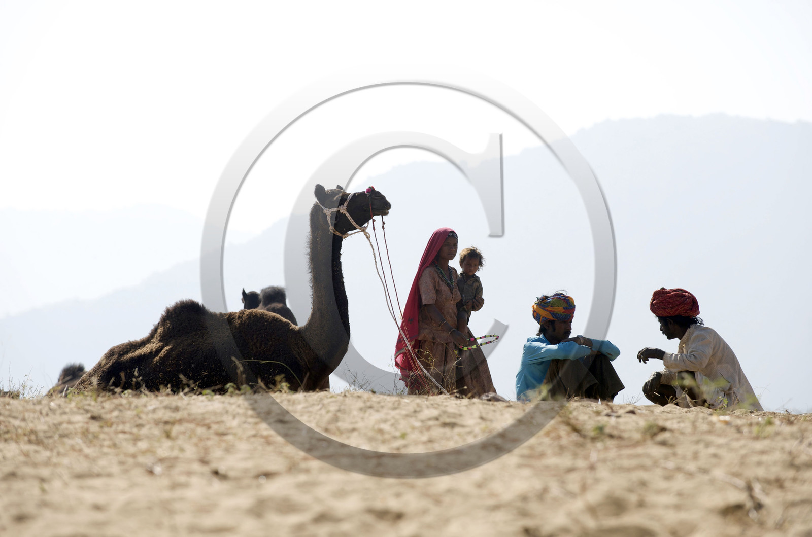 Inde, Pushkar