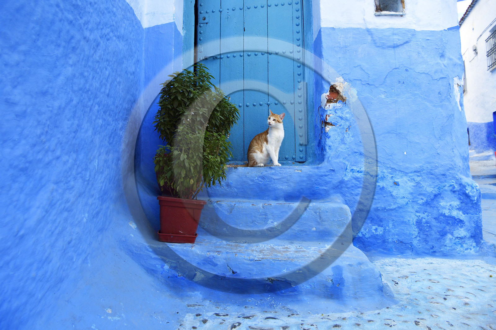 Maroc, Chefchaouen
