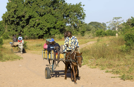 Marché de brousse de Gueguenne, Sénégal