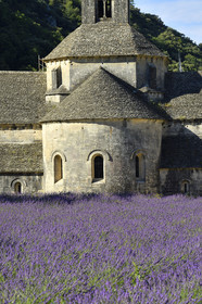 France, Senanque