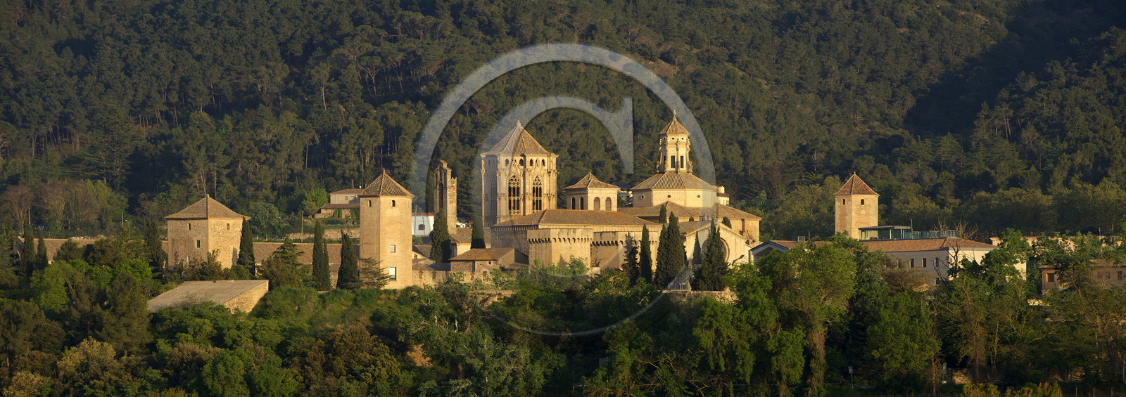 Espagne, Poblet