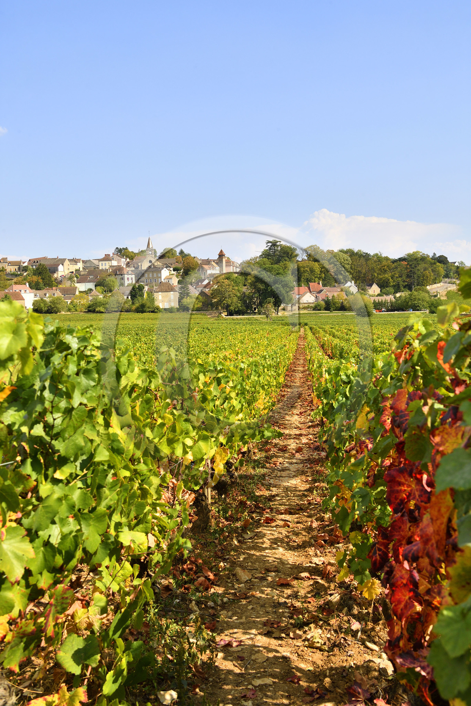 France, Monthélie