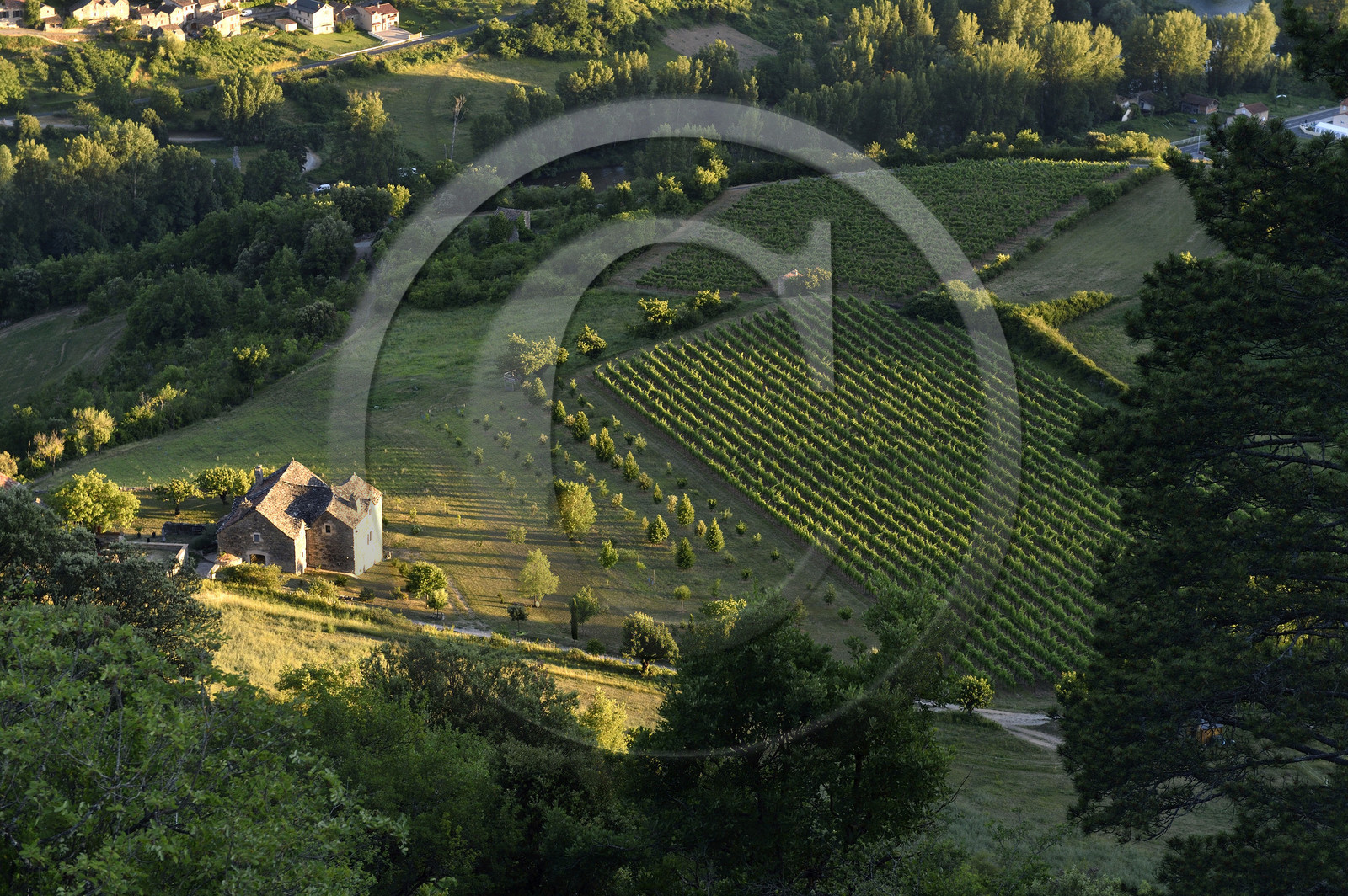 France, Gorges du Tarn