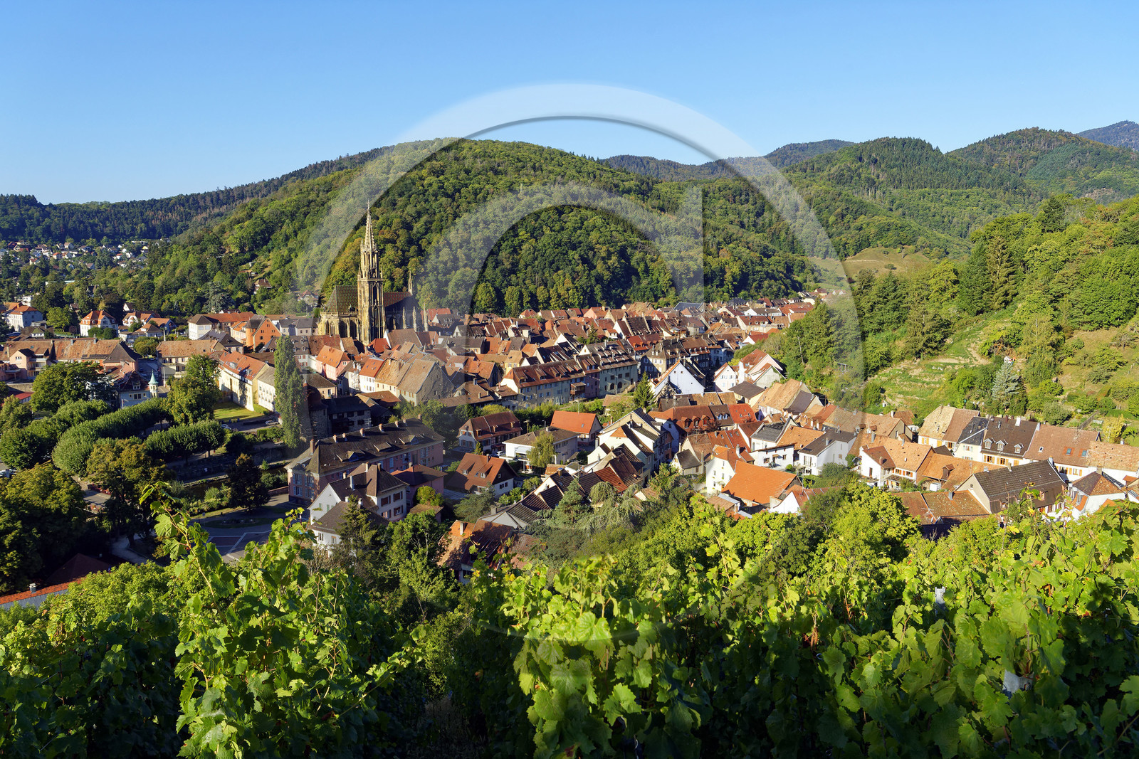 France, Thann
