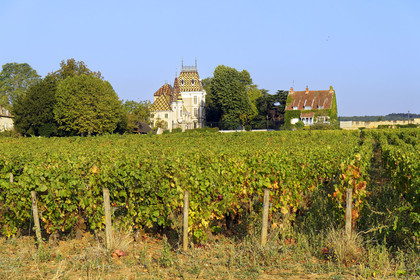 France, Bourgogne