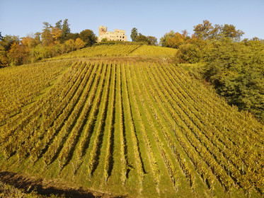 France, Kintzheim