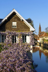 France, Strasbourg