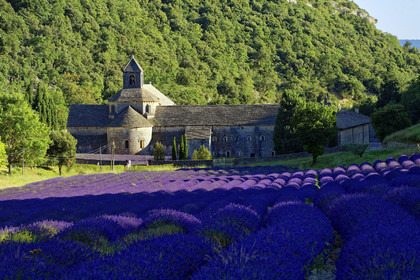 France, Senanque