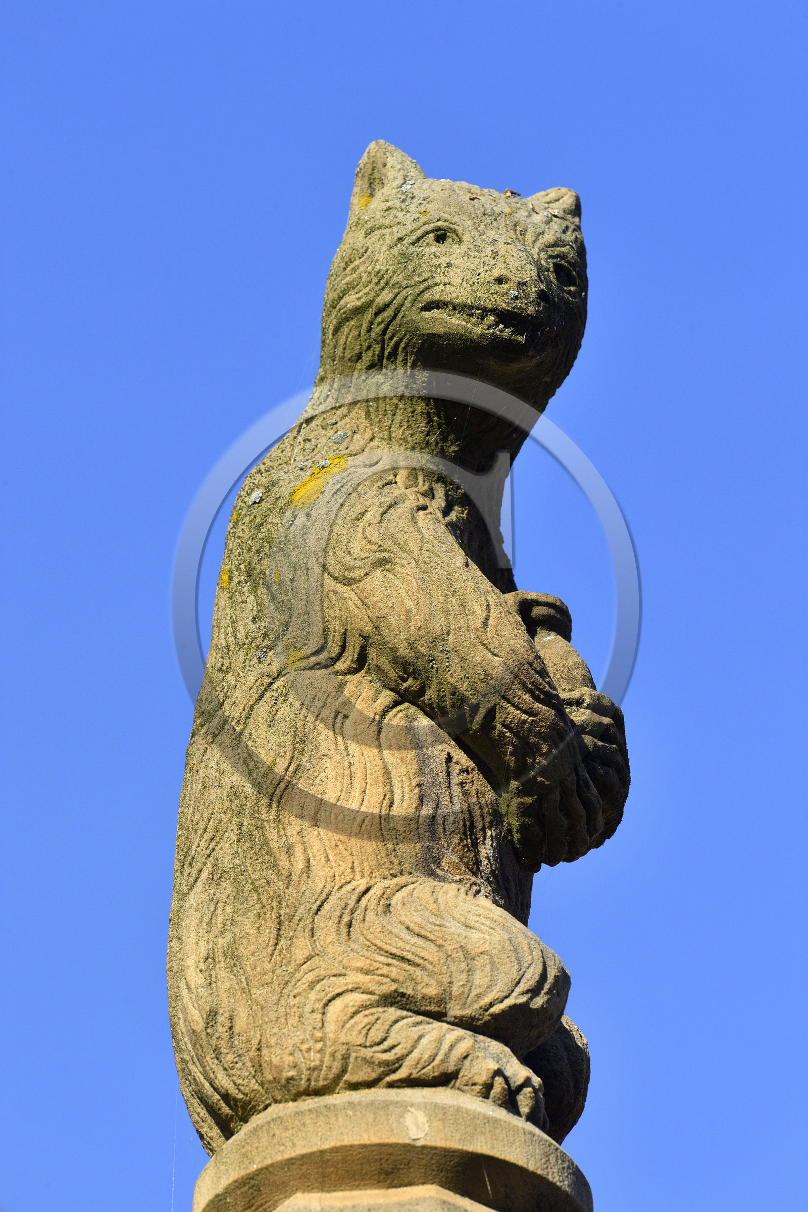 France, Dambach la Ville