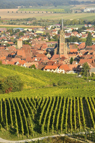 France, Dambach la Ville