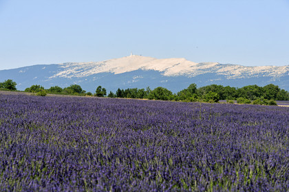 France, Sault