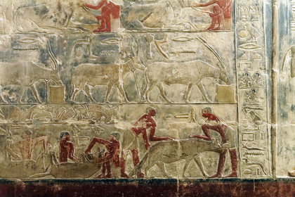 Egypte, Saqqara
