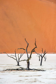 Namibie, Sossusvlei