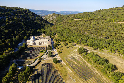 France, Senanque