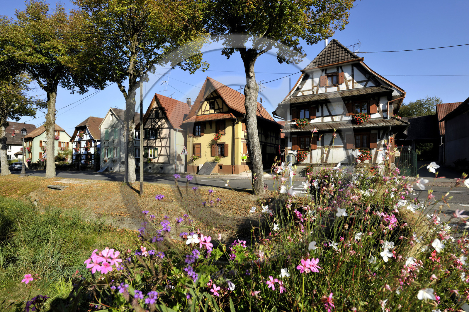 France, Sundgau