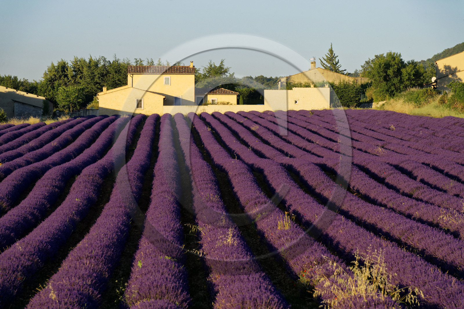 France, Simiane la Rotonde