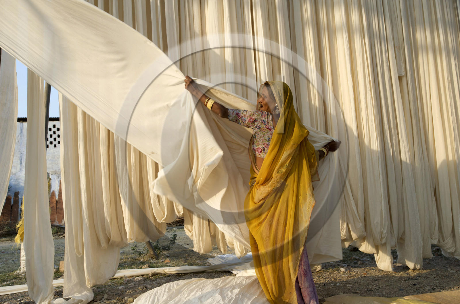 Inde, sari