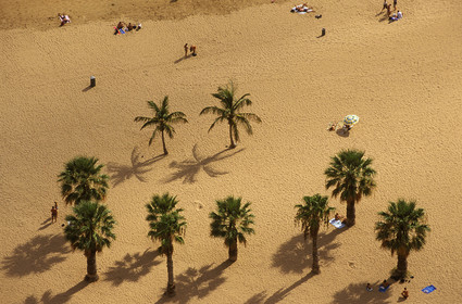 Canaries. Espagne