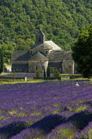 France, Senanque