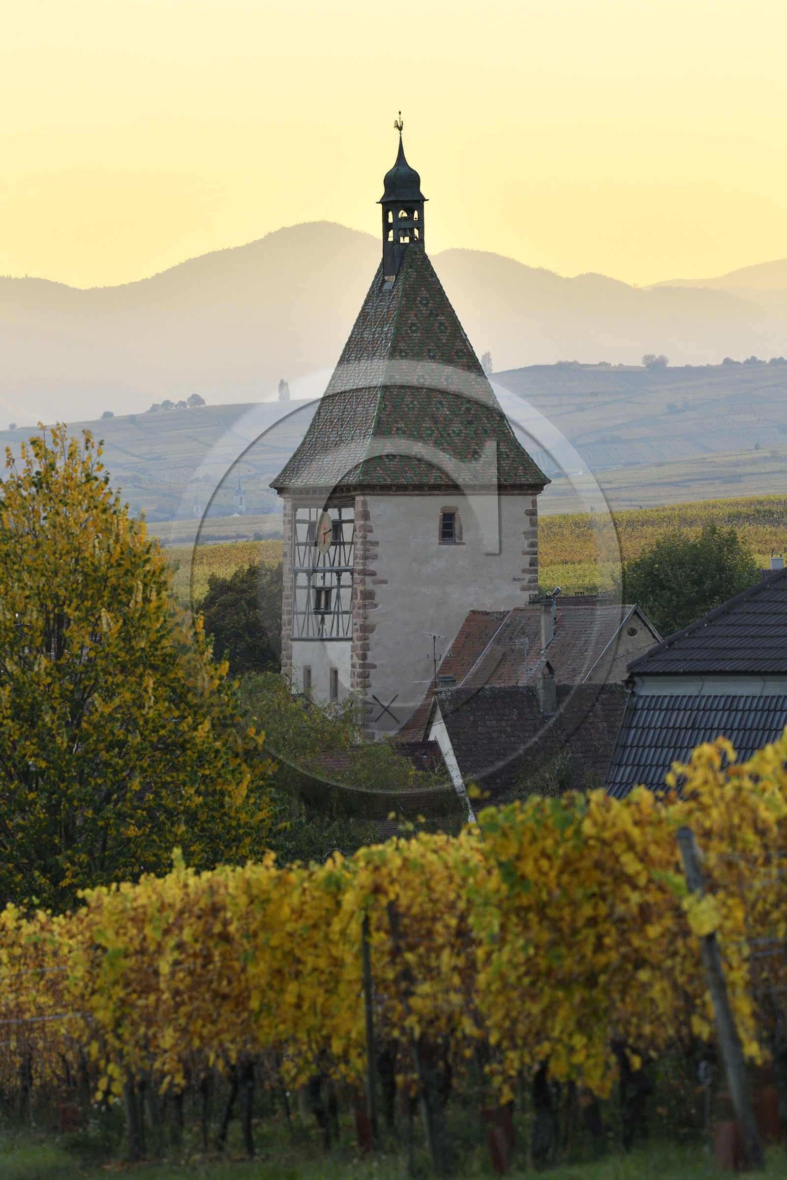 France, Route des vins