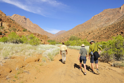 Namibie, Brandberg