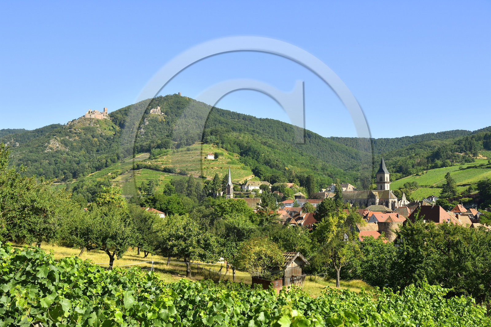 France,  Ribeauville