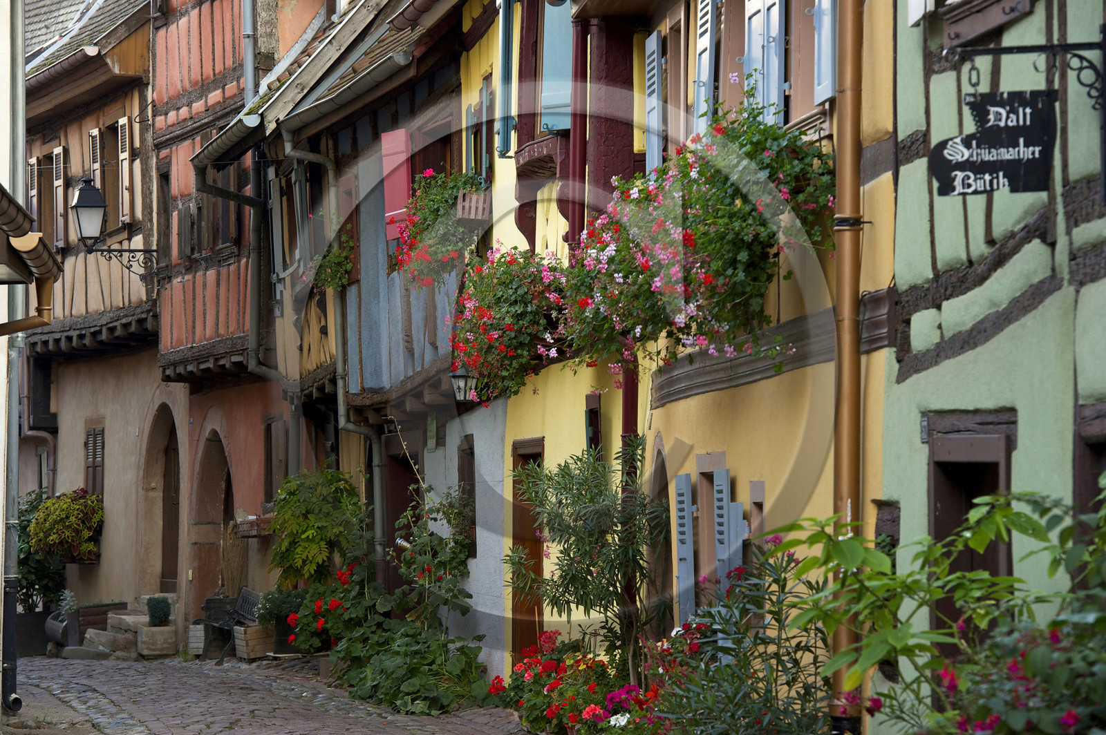 France, Eguisheim