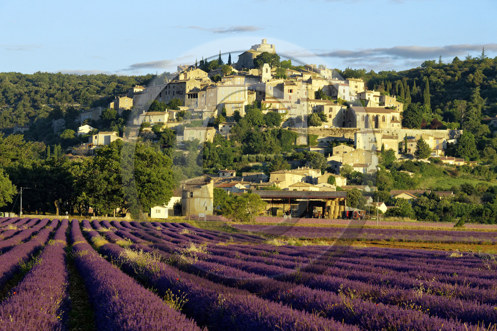 France, Simiane la Rotonde