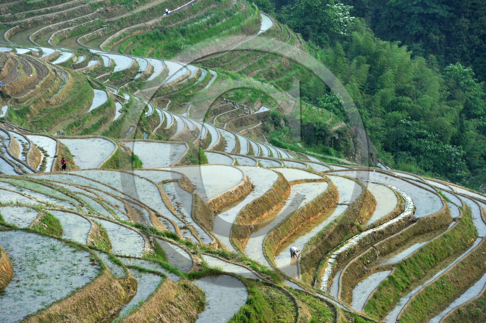 Chine, Longsheng