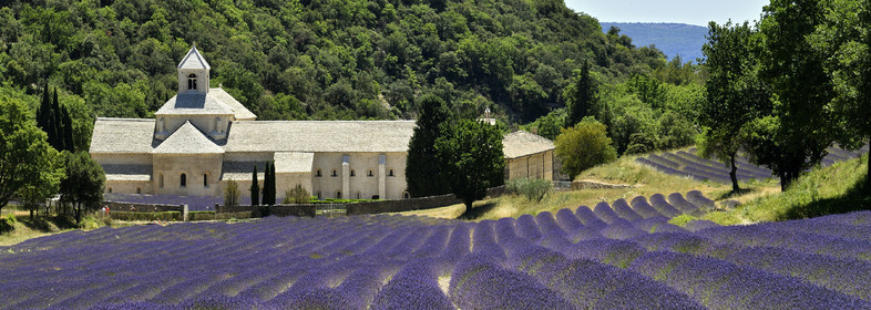 France, Senanque