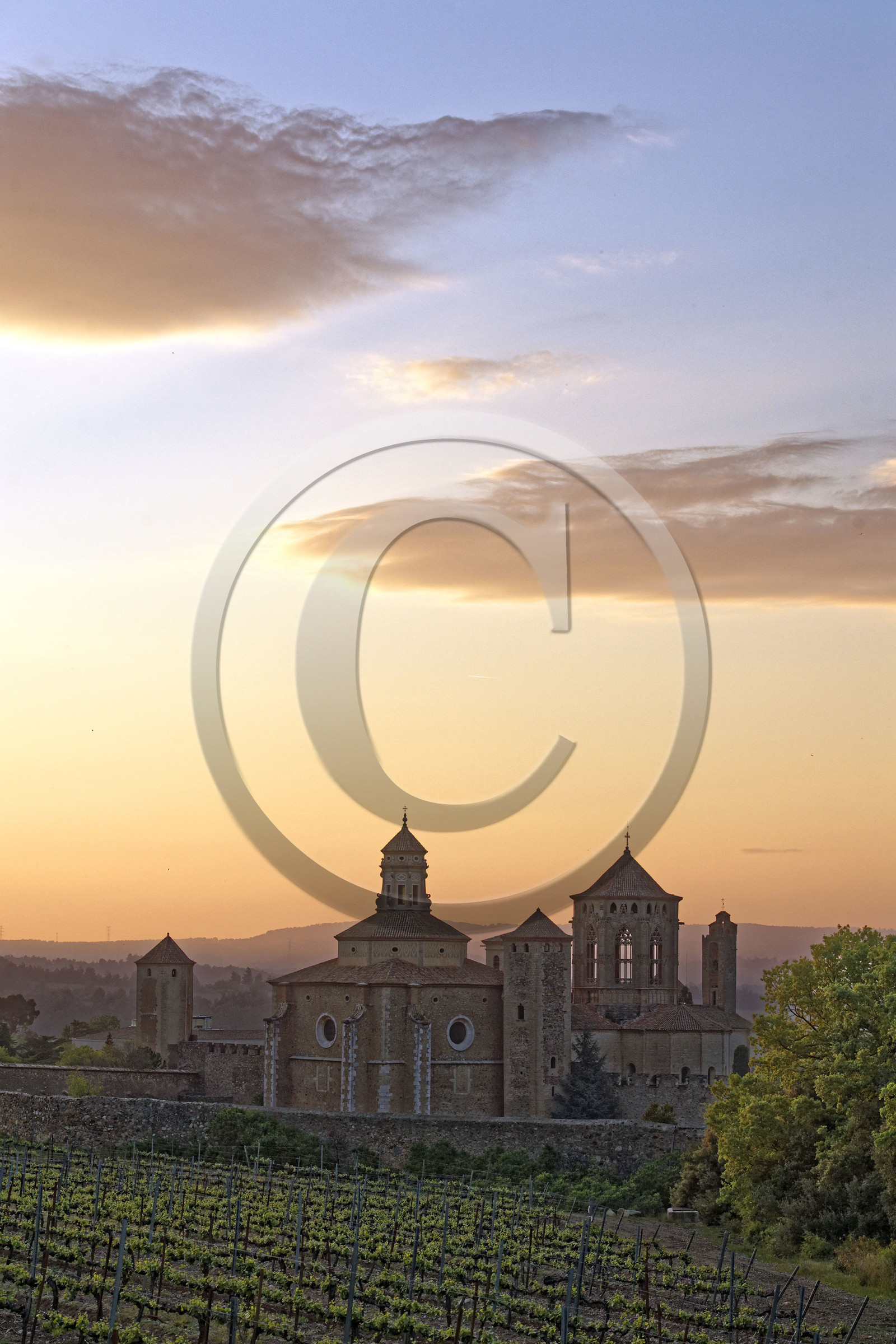Espagne, Poblet