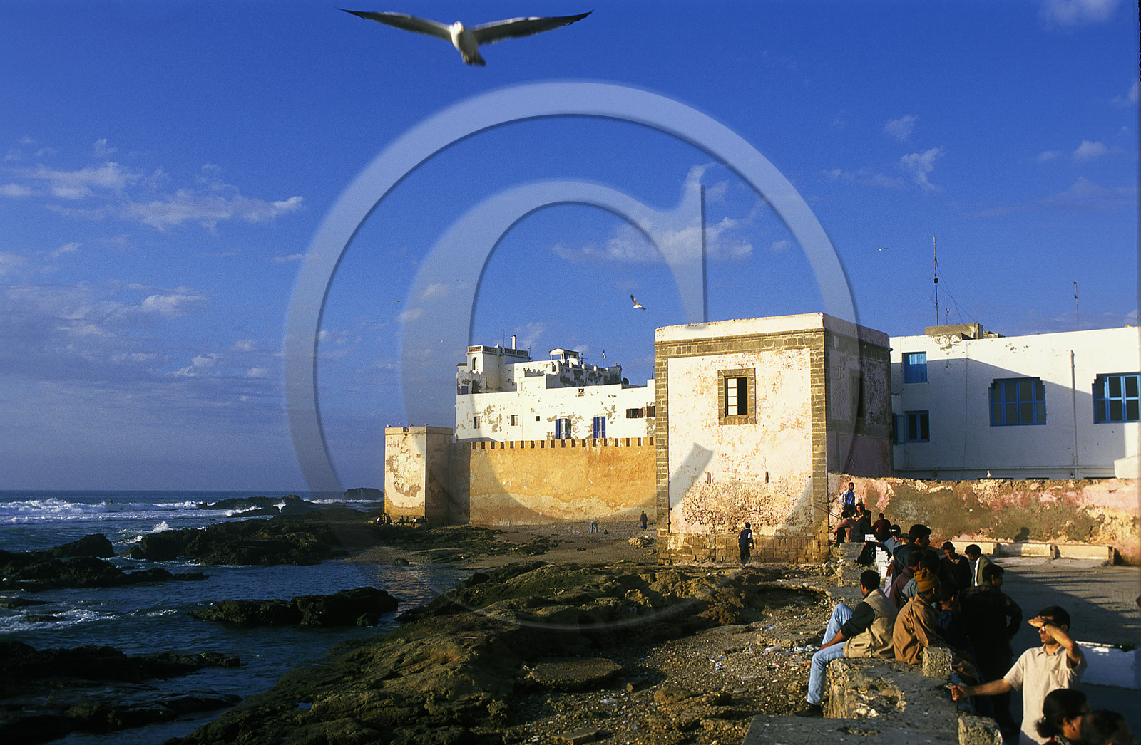 MAROC   ESSAOUIRA.LA MÉDINA