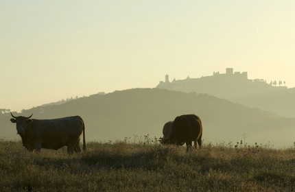 Monsaraz, Portugal