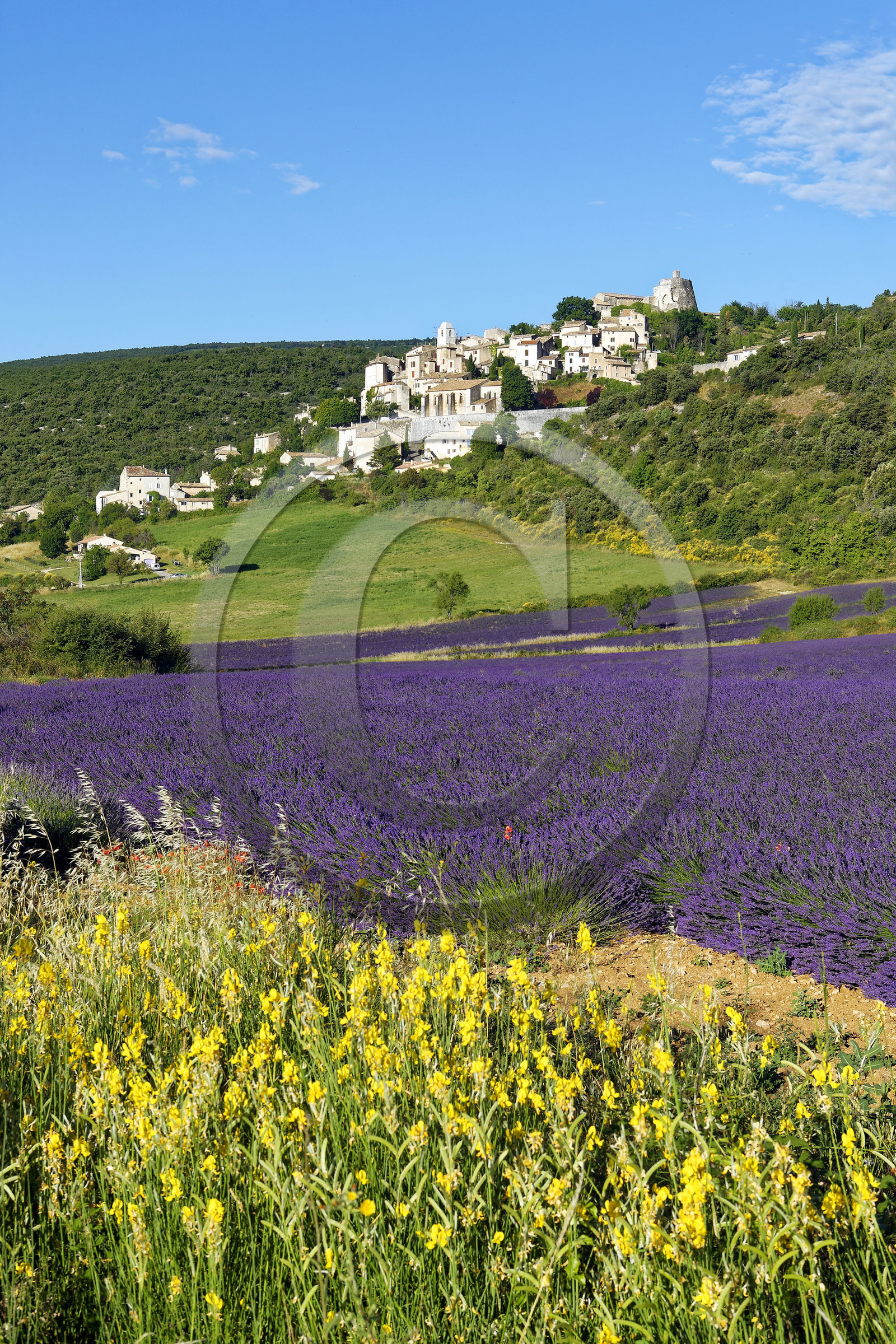 France, Simiane la Rotonde