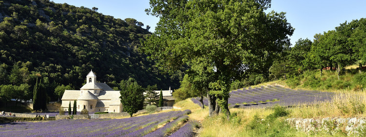 France, Senanque
