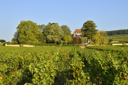 France, Bourgogne