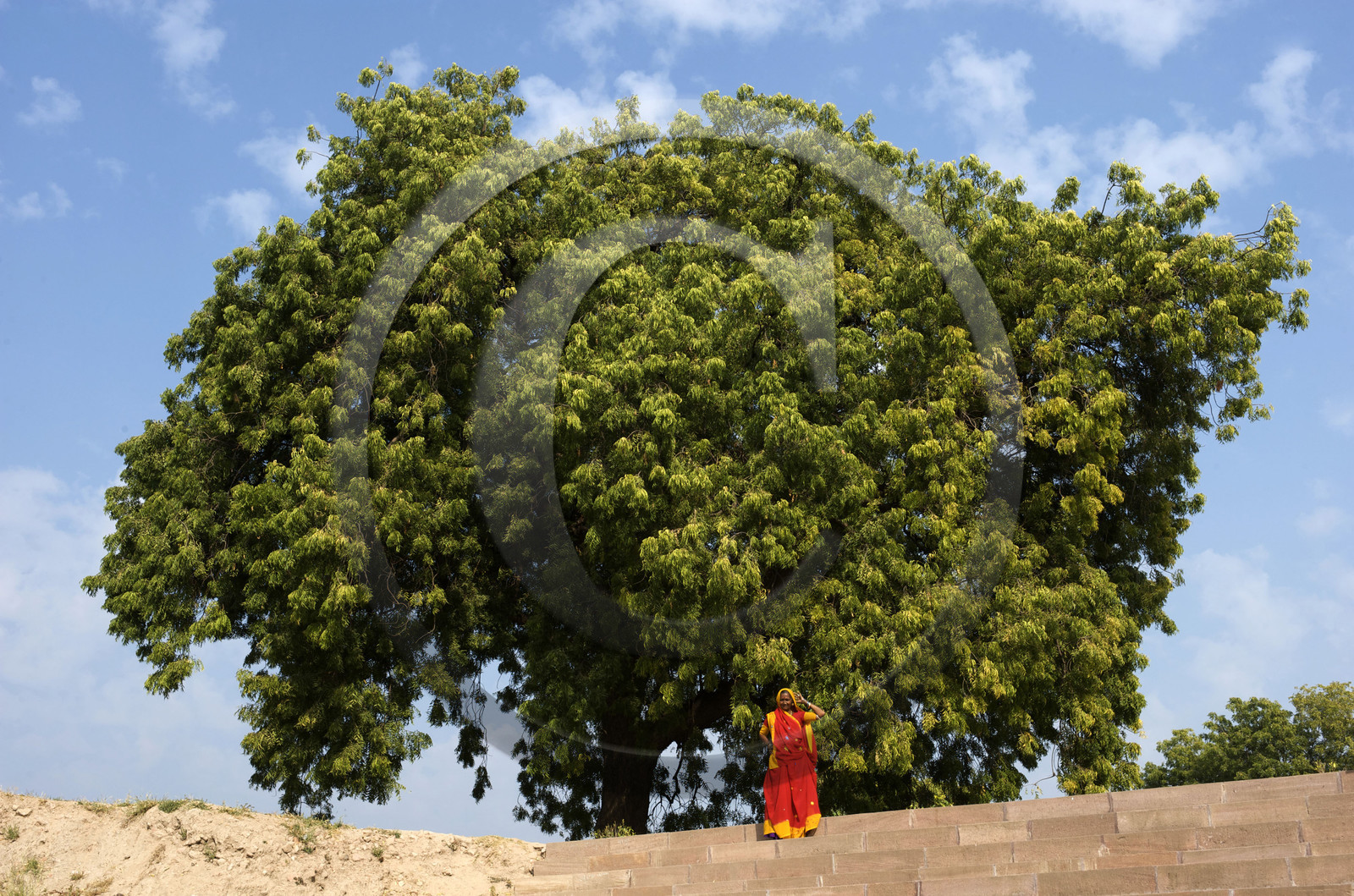 Inde, Gujarat
