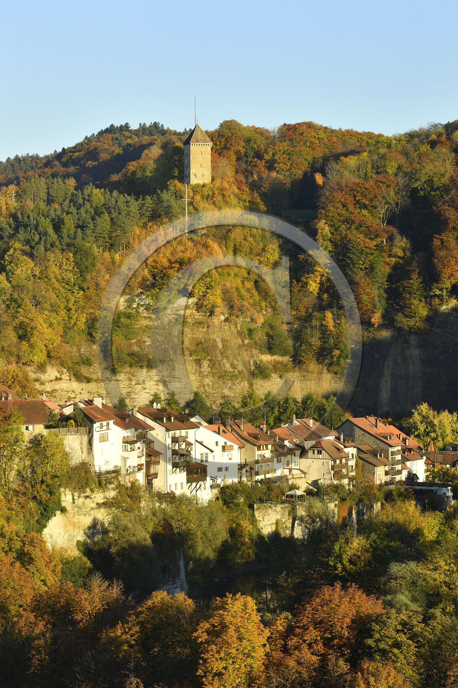 Suisse, Fribourg