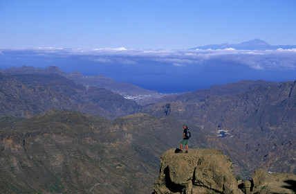 Canaries. Espagne