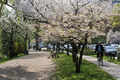 Allemagne, Hambourg