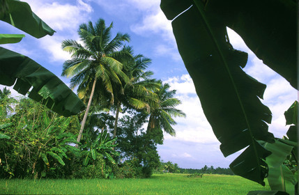 SRI LANKA