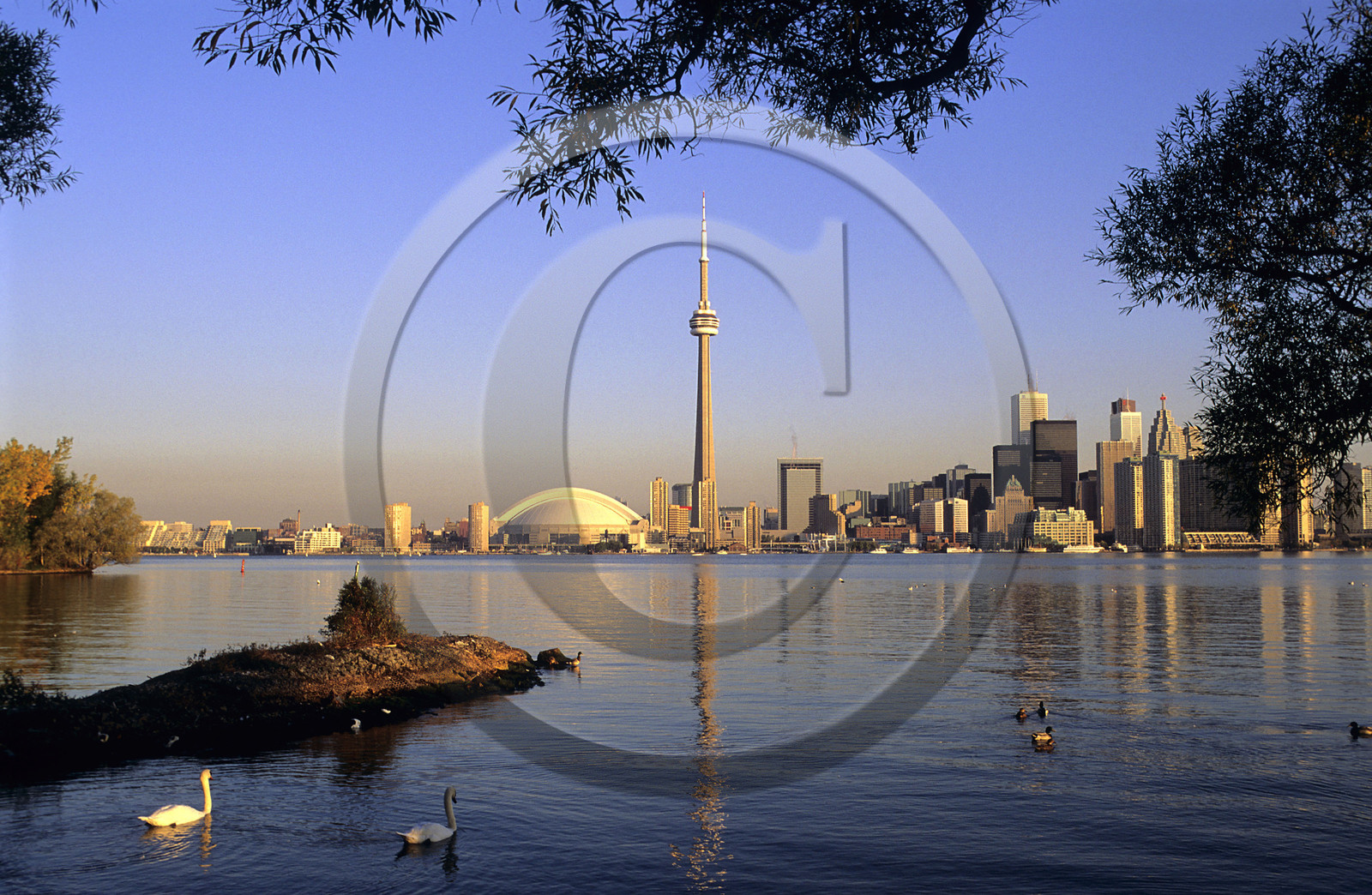 TORONTO. CANADA