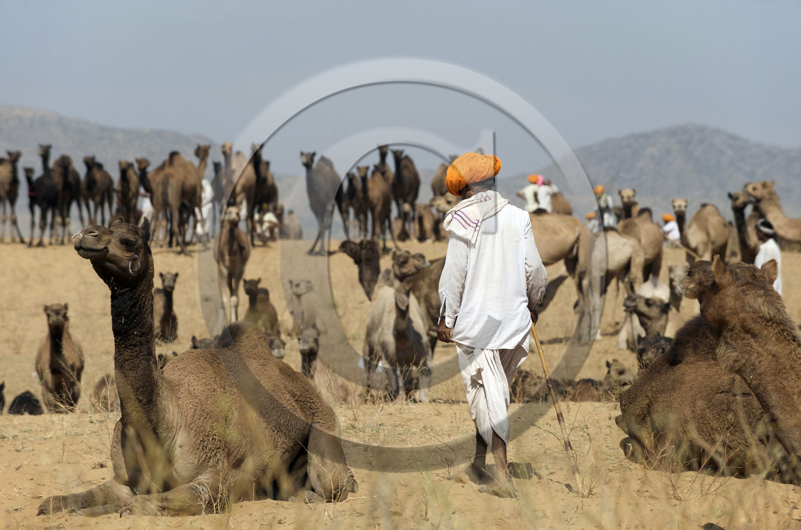 Inde, Pushkar