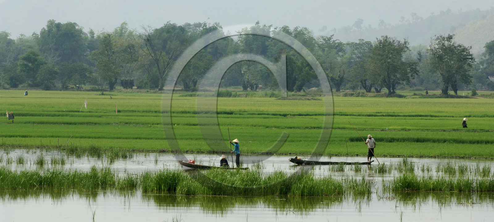 HAUTS PLATEAUX DU CENTRE. VIETNAM