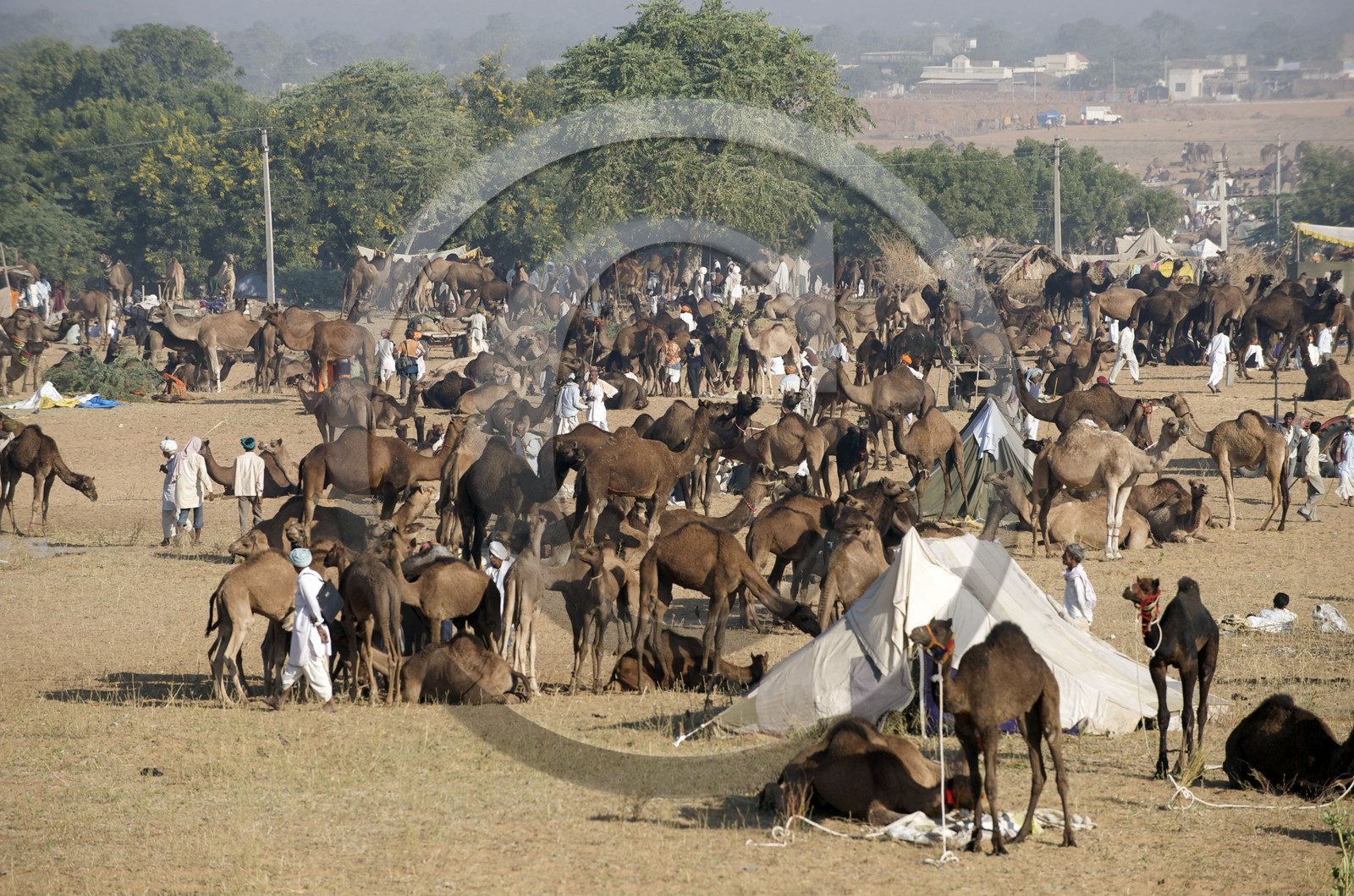 Inde, Pushkar