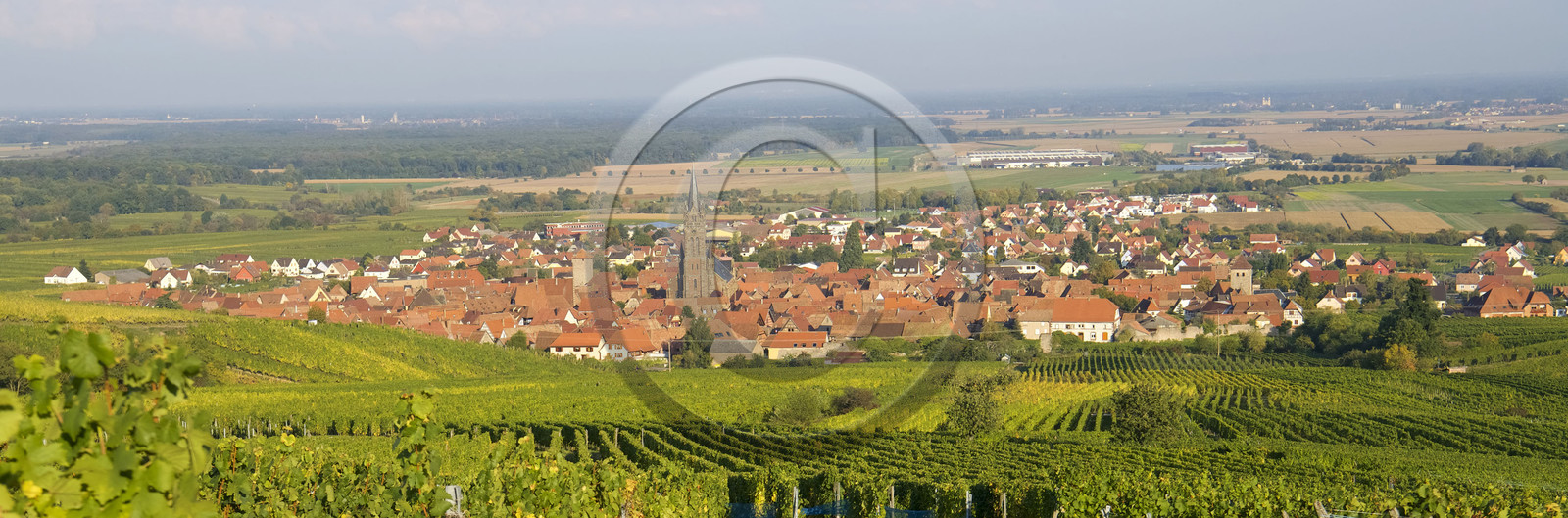 France, Dambach la Ville