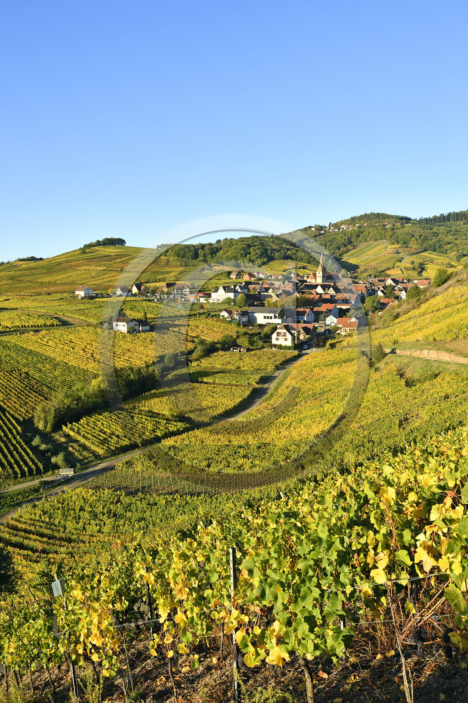 France, Niedermorschwihr