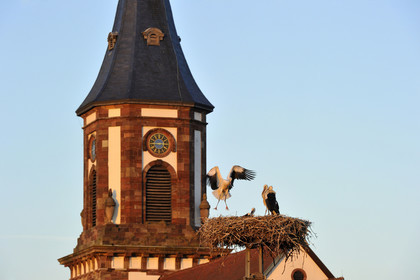 France, Alsace