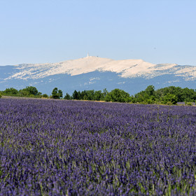 France, Sault
