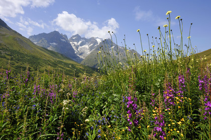France, Alpes